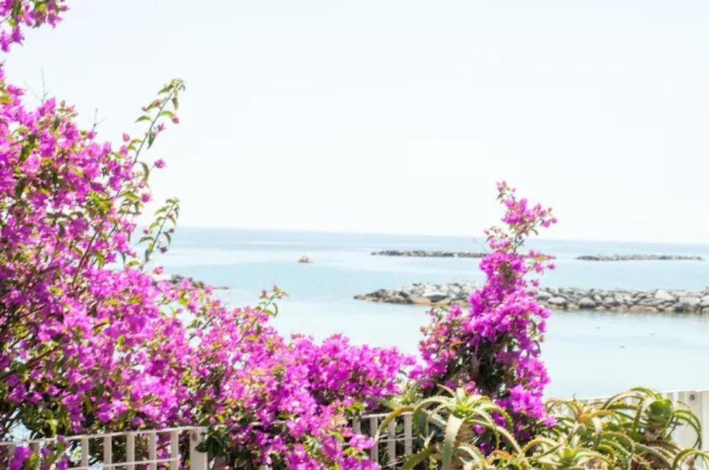 Casa Vacanza Rossella 산레모 외부 사진